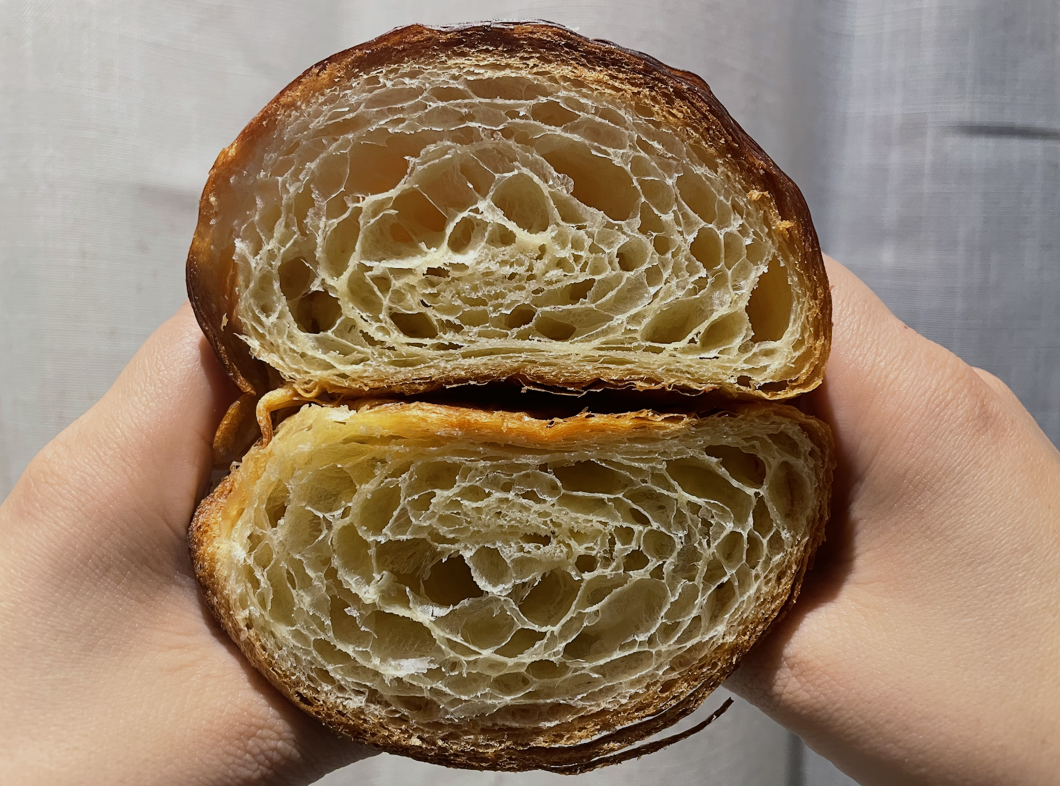 Siembra y Cosecha Panel 3